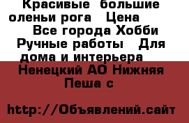 Красивые  большие оленьи рога › Цена ­ 3 000 - Все города Хобби. Ручные работы » Для дома и интерьера   . Ненецкий АО,Нижняя Пеша с.